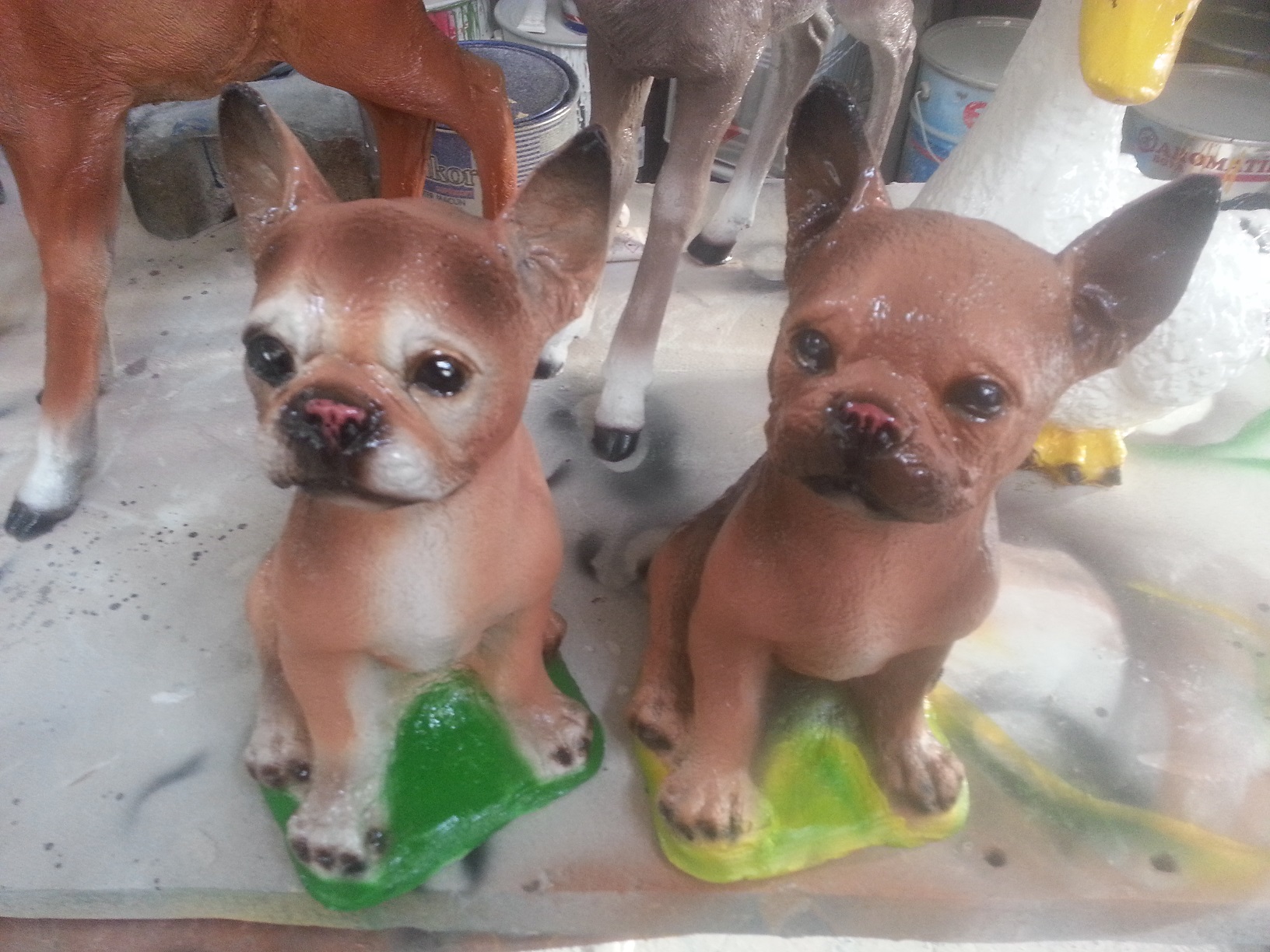 alb fransız buldog köpek en.17 boy.20 yük.20 ağır.3