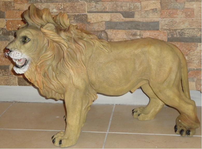 Afrika Bakan Aslan(Sol);Promit (En:40Boy:107Yüks:73Ağr:10)