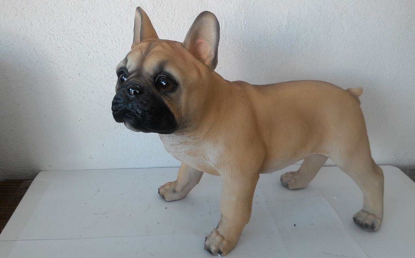 boxer köpek: promit en.22 boy.42 yüks.33 ağr.2