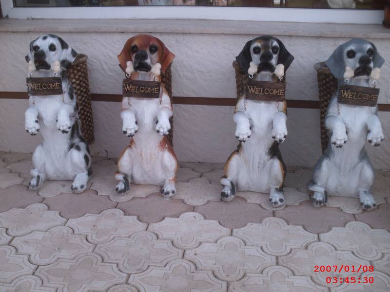 Şemsiyelik Köpek;Promit (En:20Boy:38Yüks:60Ağr:5)