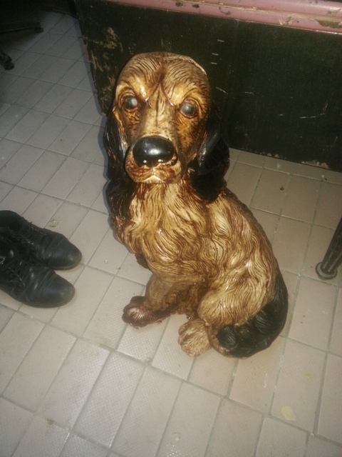alç ev köpeği ; en:40 boy:50 yük:70