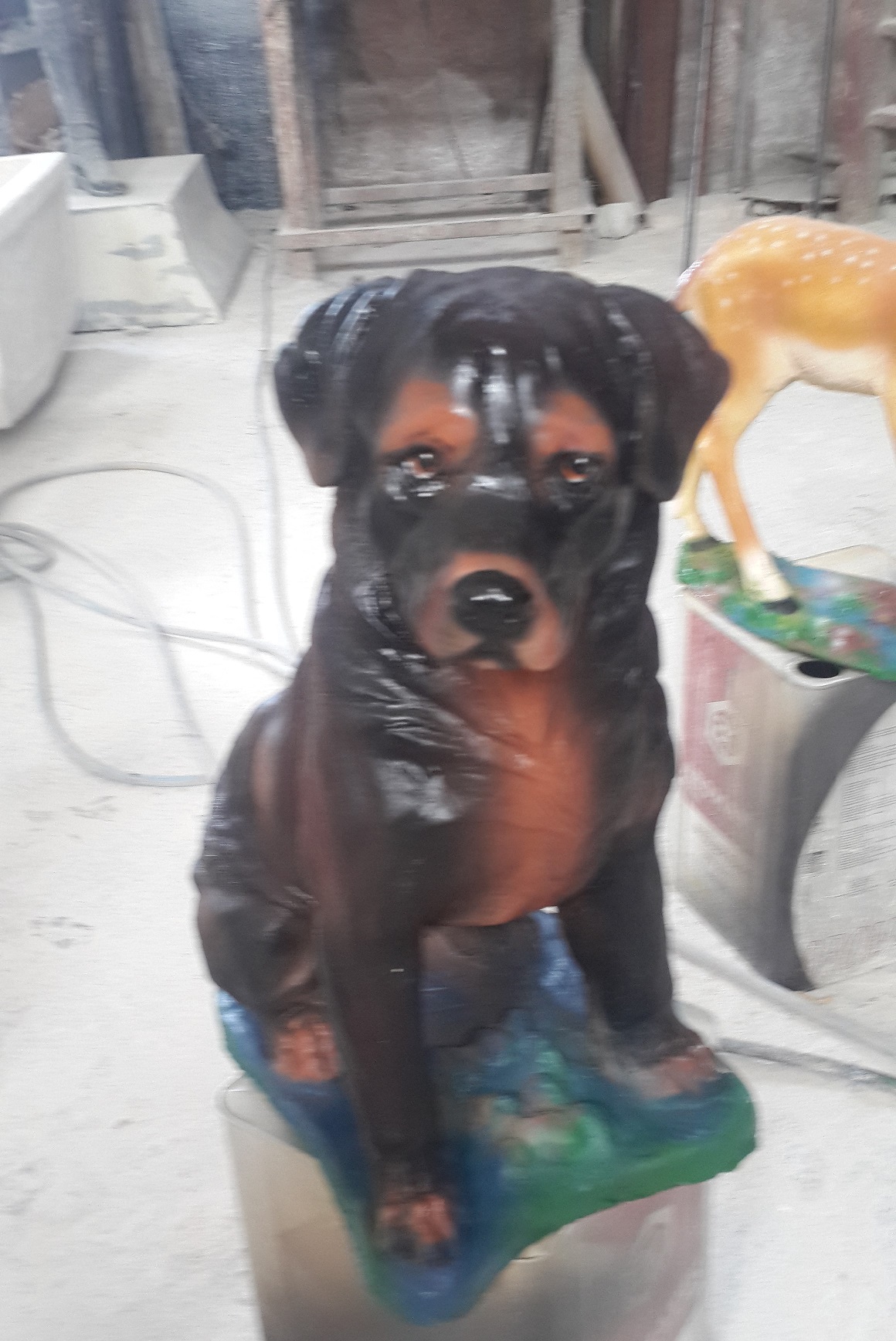 çin rottweiller: alçı b. en.23 boy.40 yüks.50 ağr.4