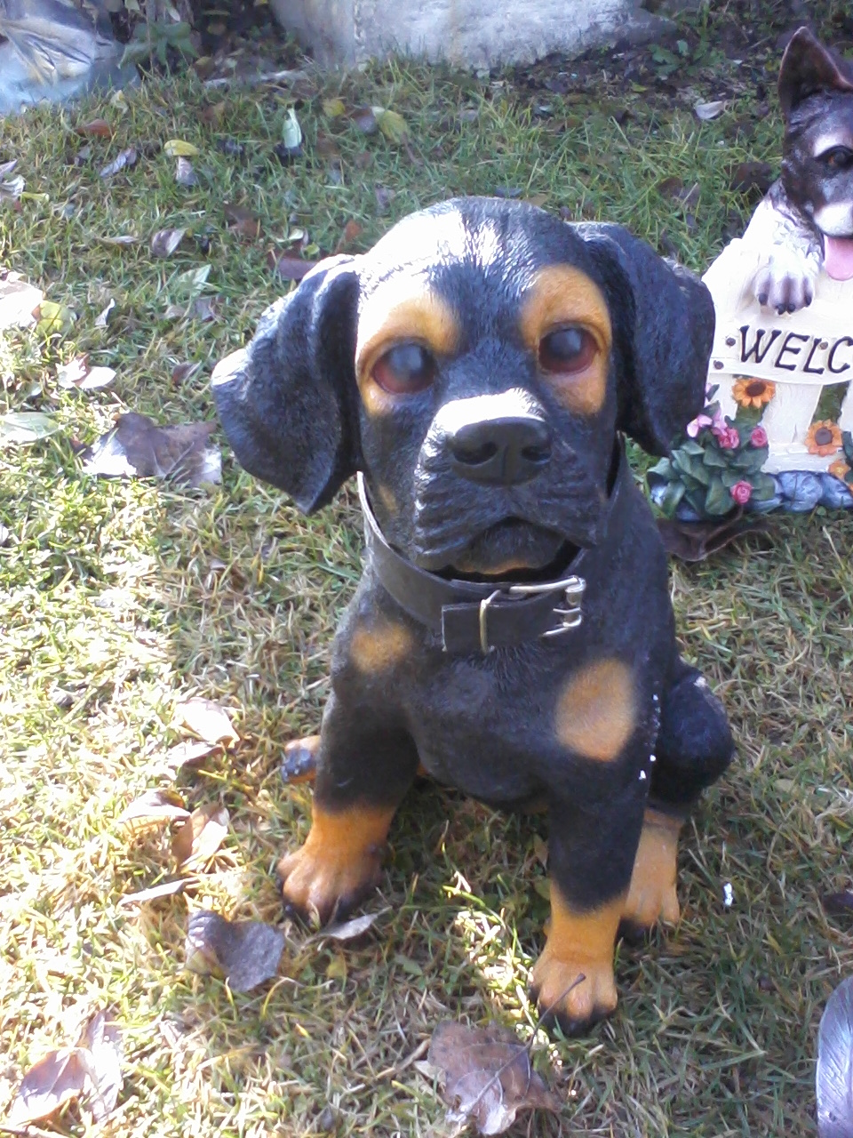 weiller köpek; promit en.22 boy.25 yüks.40 ağr.3