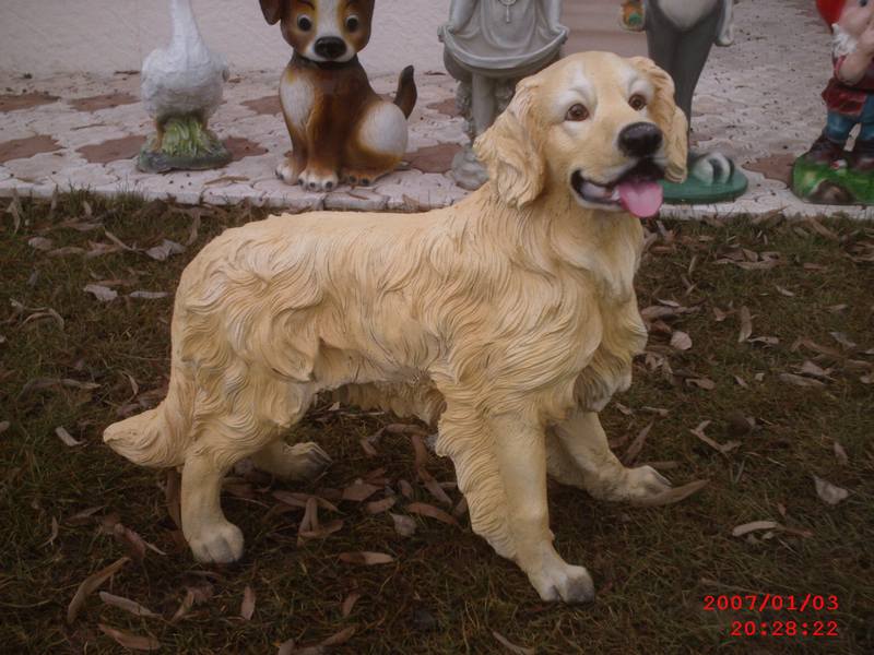 Golden Köpek ;Promit (En:35Boy:70Yüks:60Ağr:5)
