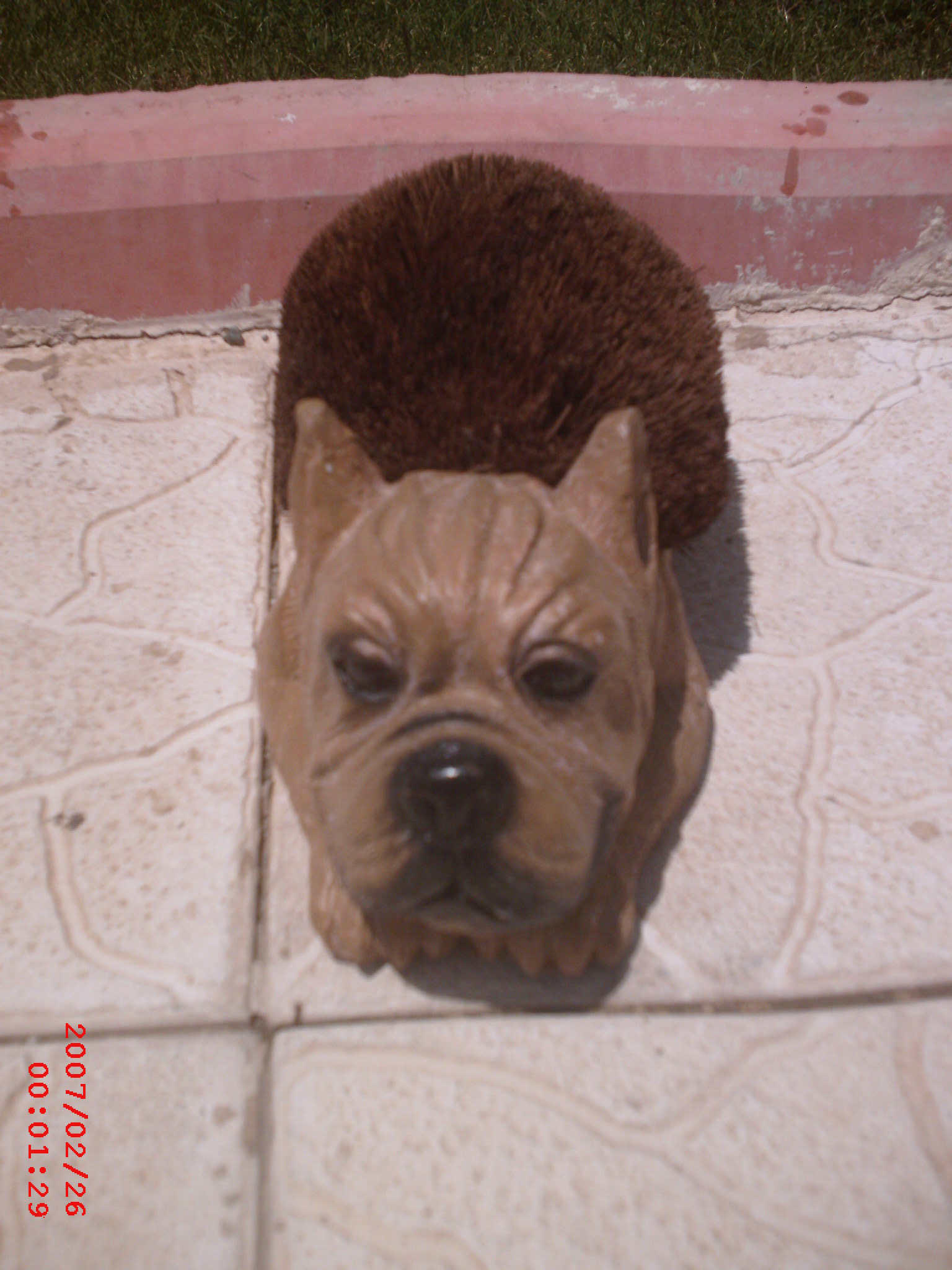 köpek paspas; promit en.14 boy.30 yüks.10 ağr.3