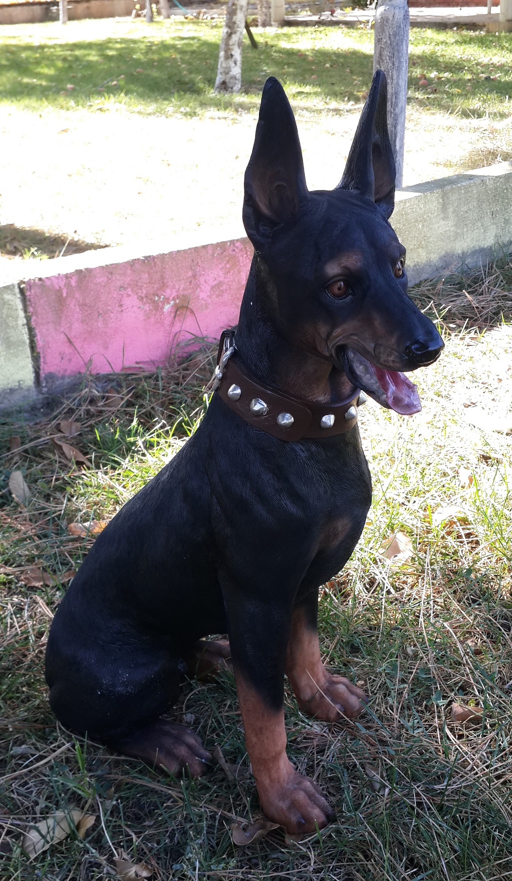 malta köpek: promit en.22 boy.40 yüks.60 ağr.7