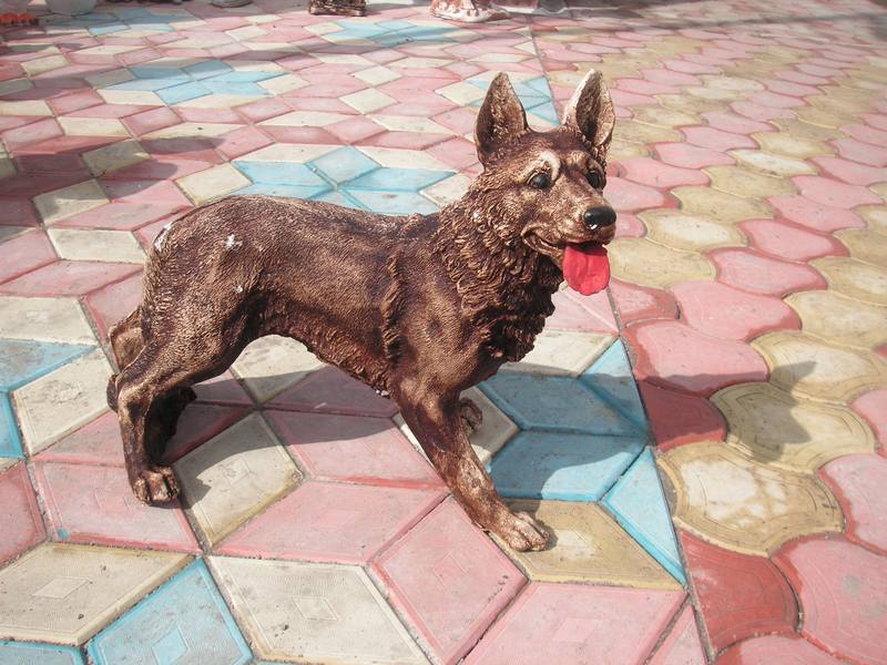 Büyük Kurt Köpek ;Alçı (En:35Boy:65Yüks:58Ağr:10)