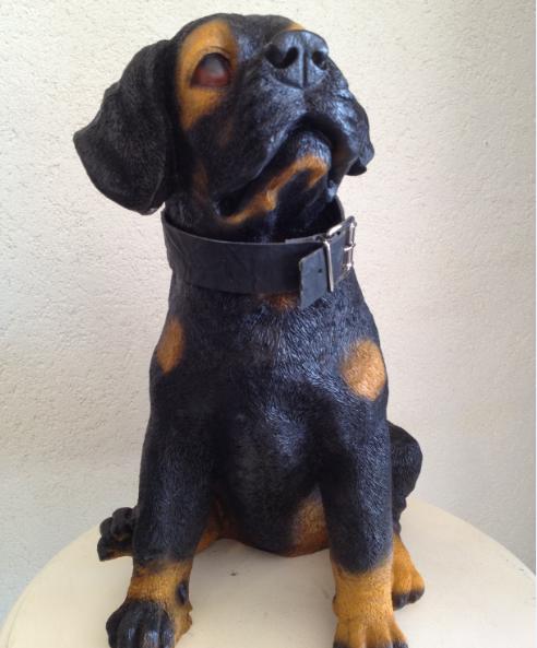 Rottweiler Köpek ;Promit (En:22cmBoy:25cmYüks:40cmAğr:3kg)
