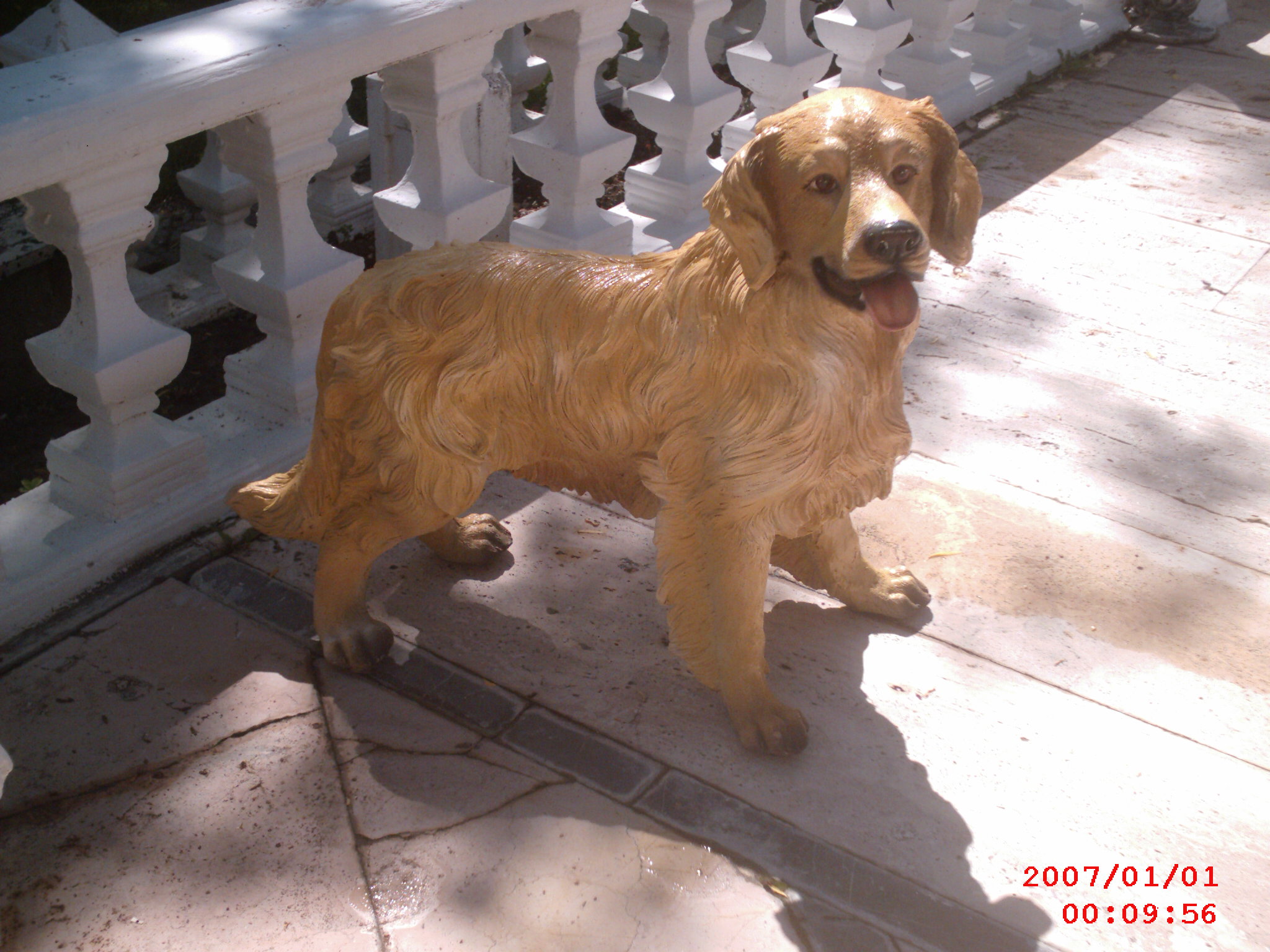 golden köpek; promit en.35 boy.70 yüks.60 ağr.5