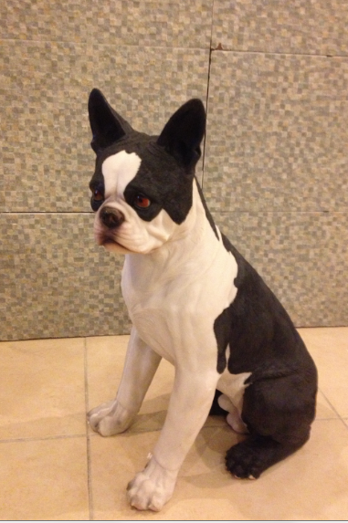 Mastiff Köp.Oturan;Promit (En:23Boy:38Yüks:52Ağr:8)