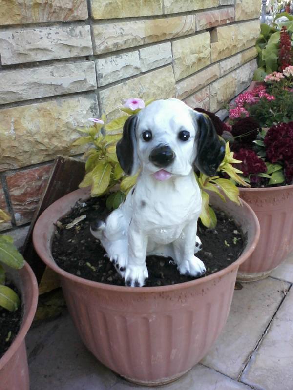 Mini Kulaklı Köpek;Promit (En:14Boy:14Yüks:24Ağr:0.5)