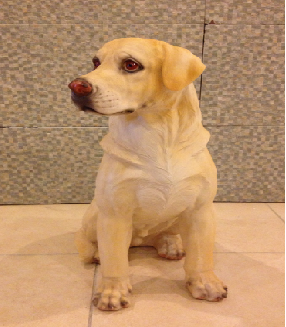 İngiliz Oturan Köpek ;Promit (En:23Boy:40Yüks:50Ağr:5)