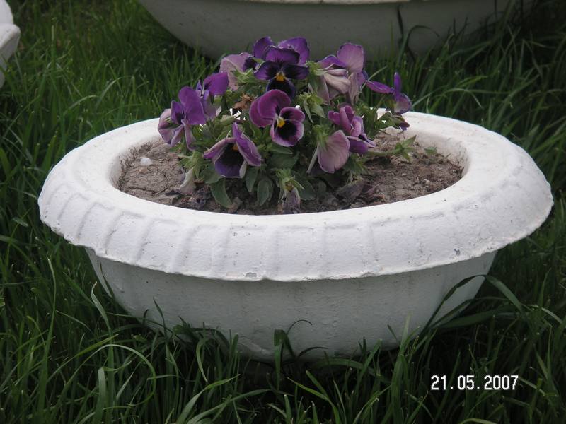 Çanak Küçük Vazo;Beton (En:43Boy:43Yüks:20Ağr:5)