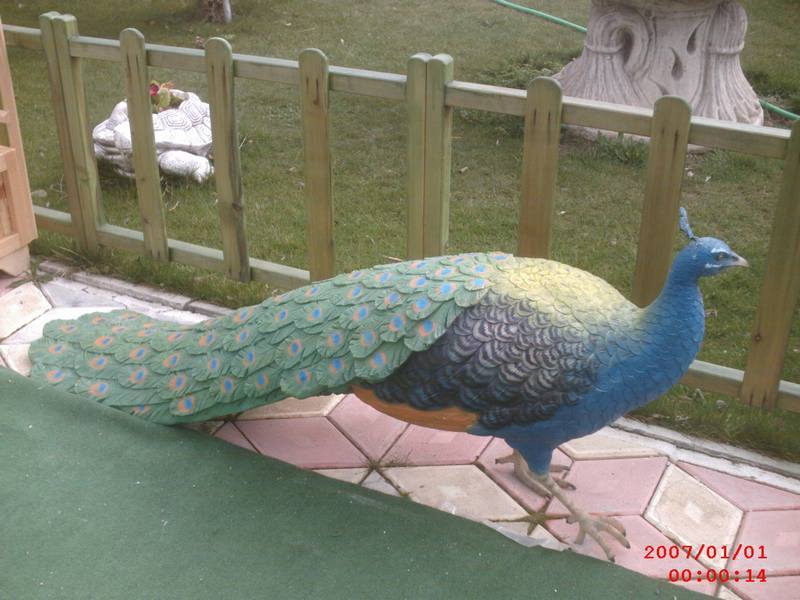 Tavuskuşu;Fiber (En:35Boy:165Yüks:63Ağr:10)