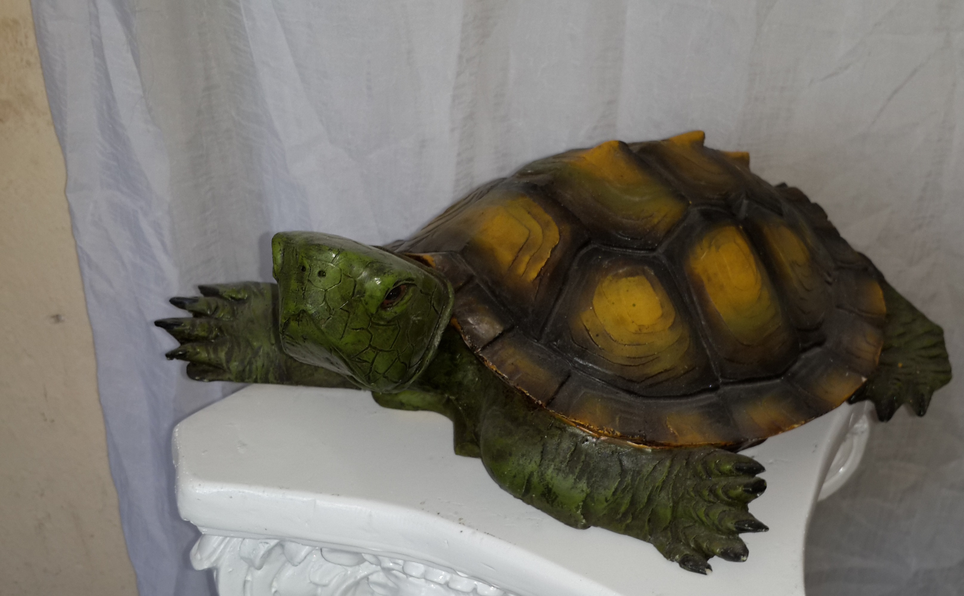tekli büyük kaplumbağa;promit en.28 boy.30 yüks.11 ağr.1