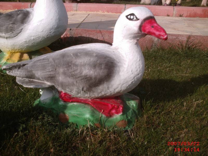 Yatan Kaz;Beton (En:20Boy:22Yüks:34Ağr:15)