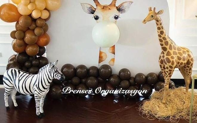 afrika zebra: promit en.30 boy.94 yüks.84 ağr.10
