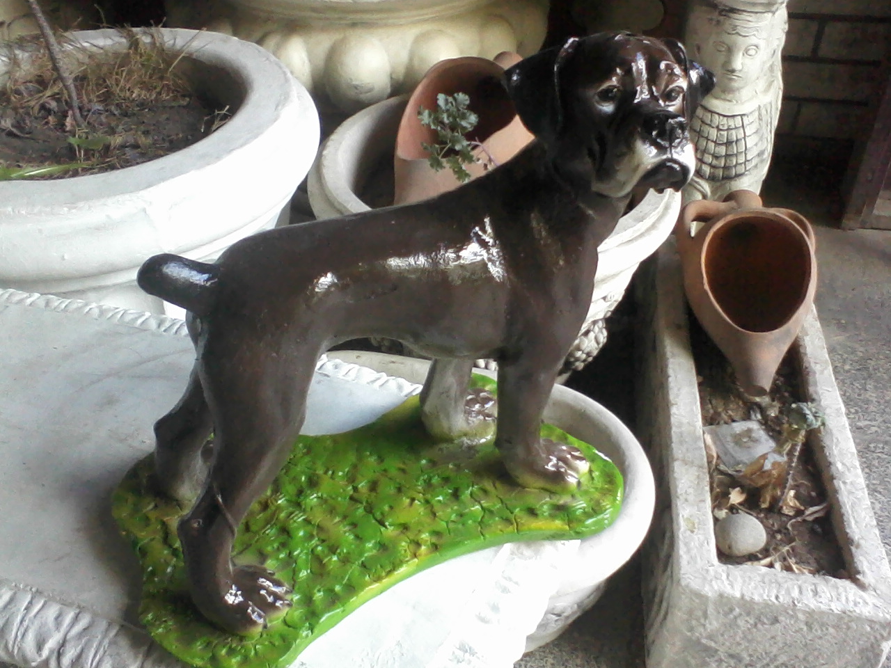 Ayakta Köpek 39